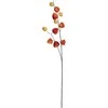 Edelman Dirbtinė dumplūnė L94cm oranžinė