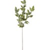 Edelman Dirbtinė gebenės šakelė L75cm žalia