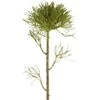 Edelman Dirbtinė gėlė L48cm varnalėša