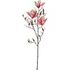 Edelman Dirbtinė gėlė L88cm magnolija/rožinė