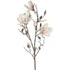 Edelman Dirbtinė gėlė L88cm magnolija/š.rožinė