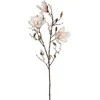 Edelman Dirbtinė gėlė L88cm magnolija/š.rožinė