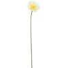 Edelman Dirbtinė gerbera L64cm kreminės spalvos