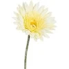 Edelman Dirbtinė gerbera L64cm kreminės spalvos