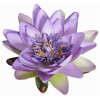 Edelman Dirbtinė lelija Ø10cm violetinė