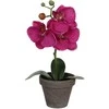 Edelman Dirbtinės gėlės vazonėlyje 26cm orchidėjos/violetinės