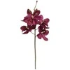 Edelman Dirbtinės gėlės vazonėlyje 34cm orchidėja/violetinė