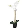 Edelman Dirbtinės gėlės vazonėlyje 70cm orchidėjos/baltos