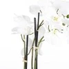 Edelman Dirbtinės gėlės vazonėlyje 79cm orchidėjos/baltos