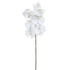 Edelman Dirbtinės gėlės vazonėlyje 82cm orchidėja/balta