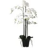 Edelman Dirbtinės gėlės vazonėlyje 97cm orchidėjos/baltos
