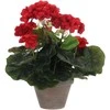 Edelman Dirbtiniai augalai vazonėlyje 34cm pelargonijos/raudon.