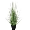 Edelman Dirbtinis augalas 53cm žolė/žalia