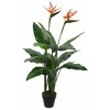 Edelman Dirbtinis augalas vazonėlyje H110xØ60cm strelicija