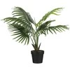 Edelman Dirbtinis augalas vazonėlyje H80xØ80cm palmė