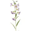 Edelman Dirbtinis katilėlis L73cm violetinė