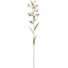 Edelman Dirbtinis katilėlis L73cm violetinė