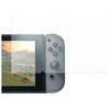 Ekrano apsauga DELTACO GAMING skirta Nintendo Switch / GAM-011