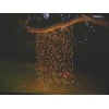 El. lauko girlianda UŽUOLAIDA, IP44, 160LED, 6W, 31V, šiltai balta, 1.5 m
