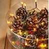 Lumineo Durawise string lights. 497161. 14.3 m. warm baltas. 192 LED
