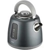 Elektrinis virdulys Zyle ZY172GR, 1,7 l