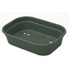 Elho Daigykla Žalias Basic S L24cm W19cm H6.1cm plastikinė/žalia