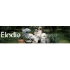 Elodie Details laikiklis čiulptukui, daugiaspalvis