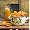 Emalia Olkusz Ambition Emaliuotas puodas su dangčiu Quince, 22 cm, 5l