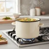 EMALINIS PUODAS AUKŠTAS 18CM INDUKCINĖS DUJINĖS EMALINĖS TRAUKOS OLKUSZ LARGE 3L