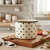 EMALINIS PUODAS AUKŠTAS 18CM INDUKCINĖS DUJINĖS EMALINĖS TRAUKOS OLKUSZ LARGE 3L