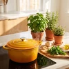 Atusa Emaliuotas ketaus puodas indukcinis orkaitės grilis HAGE 4L 24cm Garstyčios