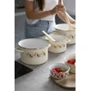 Emaliuotas puodas Emalia Pleszew Koko 20 cm 3,75L smėlio spalvos indukcinės dujos
