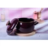 Emaliuotas puodas su dangčiu 16cm 2,2L indukcinės dujos Metalac Bordo Princ