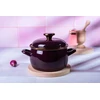 Emaliuotas puodas su dangčiu 16cm 2,2L indukcinės dujos Metalac Bordo Princ
