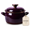 Emaliuotas puodas su dangčiu 16cm 2,2L indukcinės dujos Metalac Bordo Princ