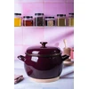 Emaliuotas puodas su dangčiu 24cm 7,5L indukcinės dujos Metalac Bordo Princ