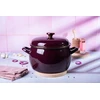 Emaliuotas puodas su dangčiu 24cm 7,5L indukcinės dujos Metalac Bordo Princ