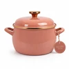 Emaliuotas puodas su dangčiu 24cm 7,5L ir Metalac Mocha Mousse