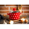 Emaliuotas puodas su dangteliu 24cm 6,75L I Metalac Dots On Raudona