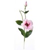 Emivela Dirbtinė eustoma 45cm