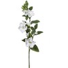 Emivela Dirbtinė eustoma 80cm balta