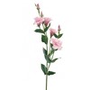 Emivela Dirbtinė eustoma 85cm balta