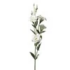 Emivela Dirbtinė eustoma 85cm balta