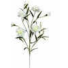 Emivela Dirbtinė gėlė 60cm smulk.gvazd./baltas