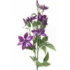 Emivela Dirbtinė gėlė 70cm raganė/violet.