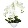 Emivela Dirbtinė orchidėja vazone, 65 cm