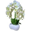 Emivela Dirbtinė orchidėja vazone 70cm/5 šakelės