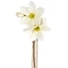 Emivela Dirbtinės magnolijos šaka 24cm baltas