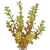 Emivela Dirbtinis sukulentas 26cm Lucky Heart Bush