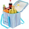 Enero Termo maišelis, mėlynas, 32x25x35 cm